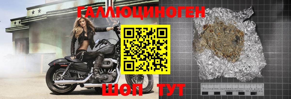 Галлюциногенные грибы Psilocybine cubensis  Вход с VPN  Новоалтайск 