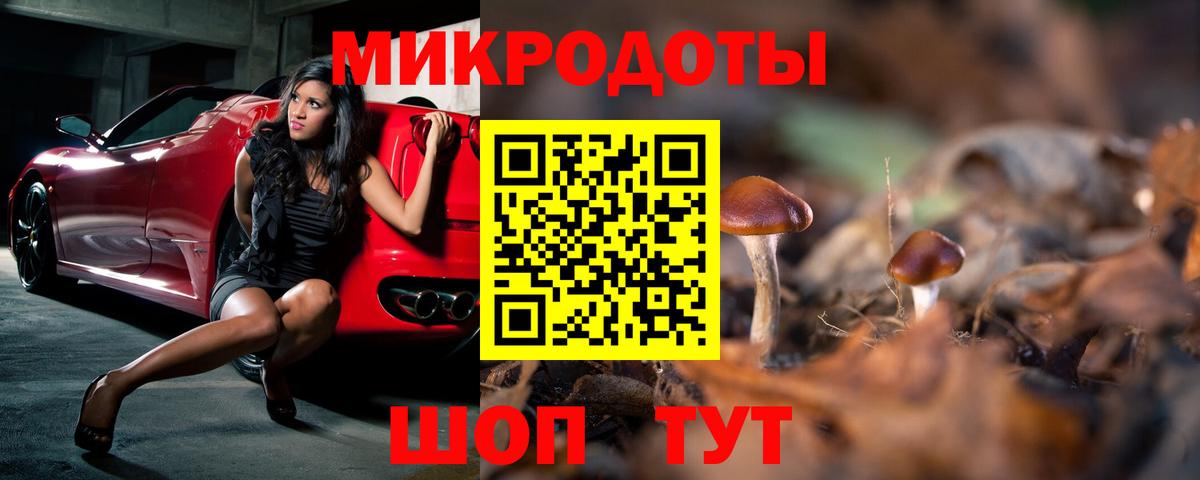 Галлюциногенные грибы Cubensis Новоалтайск